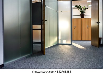 Office Corridor In Shadow With Glass Dull Door And Closet, Big Green Palm Tree In A Round Pot Standing On A Brown Cabinet Through Open Doors Corridor Against Light Wall