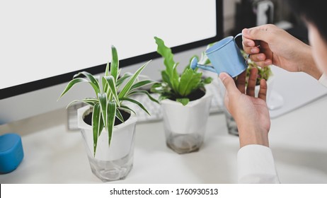 An Office Man Is Watering The Potted Plant At The White Working Desk.