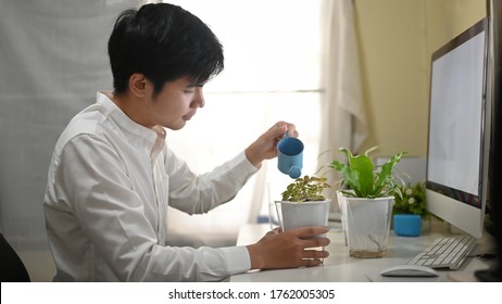 An Office Man Is Watering The Potted Plant At The White Working Desk.