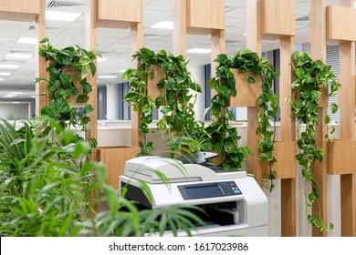 Office Space Interior With Green Plant Corner For Relaxing/ Greens In Workspaces/ Winter Garden In Room/ Healthy Lifestyle, Tree Lover And Gardening Concept