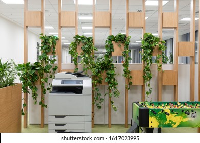 Office Space Interior With Green Plant Corner For Relaxing/ Greens In Workspaces/ Winter Garden In Room/ Healthy Lifestyle, Tree Lover And Gardening Concept