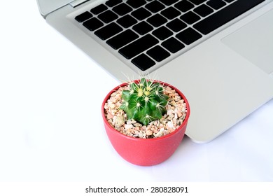 Office work space on white desk with cactus and Notebook.
