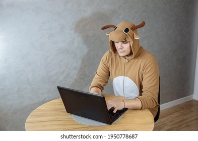 Office Worker In Cosplay Costume Of A Cow. Guy In The Funny Animal Pyjamas Sleepwear Near The Laptop. Man Is Working From Home. Search Job, Unemployment  Concept, Economy Crisis. Remote Work.