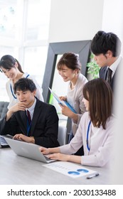 Office Workers Having A Business Meeting