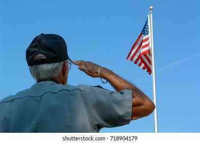 10,010 Officer Saluting Images, Stock Photos & Vectors | Shutterstock