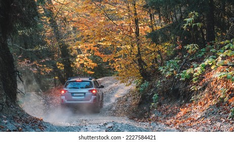 Offroad car in nature.  Offroad Car On The way