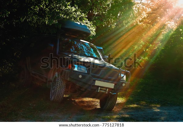 Off-road car rides in a dense summer\
forest in the Crimea.  Evening lighting with warm sun\
rays.