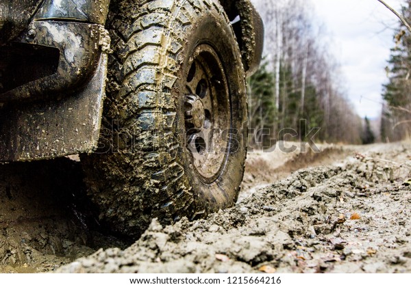Off-road in the forest and\
car wheels