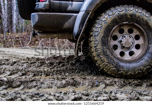 Off-road in the forest and\
car wheels