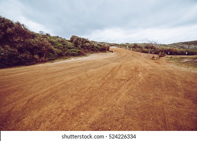 Off-road in the forests ,perth . vintage toning  filter add . - Shutterstock ID 524226334