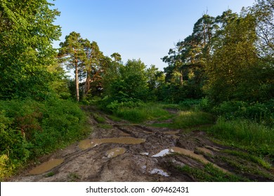 19,051 Muddy road background Images, Stock Photos & Vectors | Shutterstock