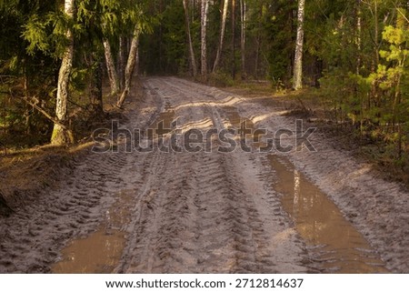 off-road in the rainy forest