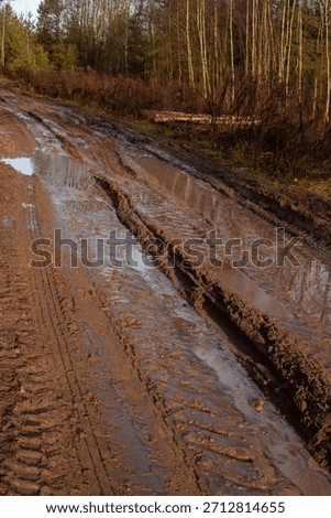 off-road in the rainy forest