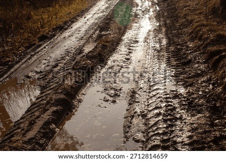 off-road in the rainy forest