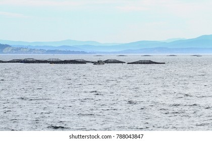 An Offshore Fish Farm Located Near Bruny Island, Tasmania.