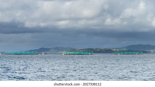 Offshore Fish Farming And Aquaculture In Norway.