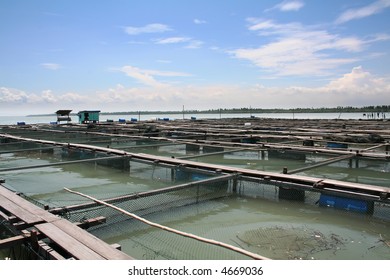 Offshore Ocean Open Water Fish Farm In The Tropics