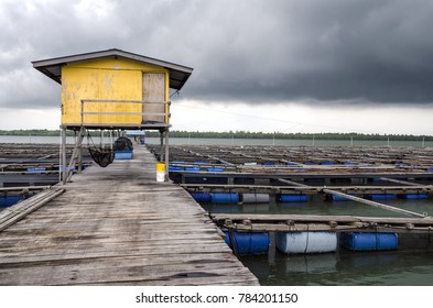 Offshore Ocean Open Water Fish Farm In  Malaysia Around Pulau Ketam