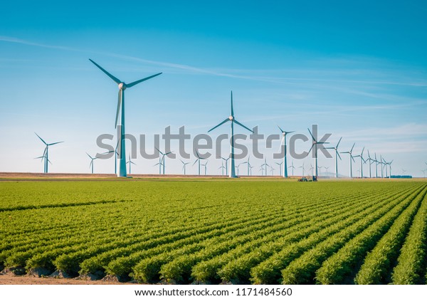 洋上のウェスターマー風公園のオフショア風車農場 風車は 美しい明るい日にオランダのフレボランド ノールドストポルダー の写真素材 今すぐ編集
