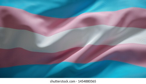 Oficial Trans Flag. Blue, Pink And White.
