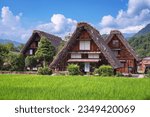 Ogimachi, Shirakawa, Japan with the thatch roof farmhouses in summer.