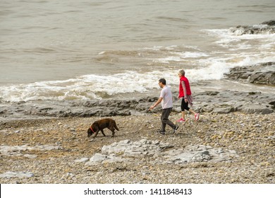 can you take dogs to ogmore beach