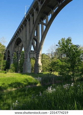 The Ohio Route 82 bridge arches soaring high above the Cuyahoga Valley in Cuyahoga Valley National Park just south of Cleveland, with wildflowers growing below.