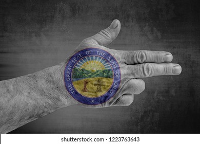 Ohio State Seal Flag Painted On Male Hand Like A Gun