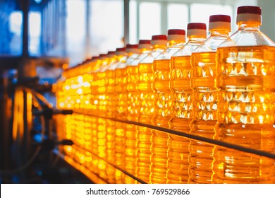 Oil in bottles. Industrial production of sunflower oil. Conveyor line for bottling and packing. Sunflower oil plant