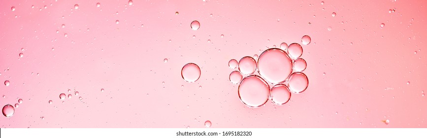oil with bubbles on coral background. Pink Abstract space background. Soft selective focus. macro of oil drops on water surface. copy space. air bubbles in water, Banner format