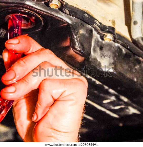Oil change in automatic transmission.\
Filling the oil through the hose. Car maintenance station. Red gear\
oil. The hands of the car mechanic in\
oil.