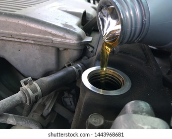 oil change in the car