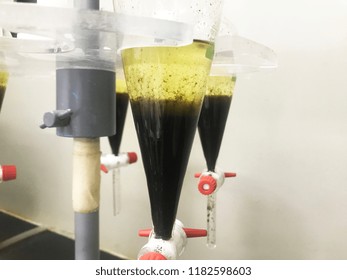 
Oil Extraction In Lab