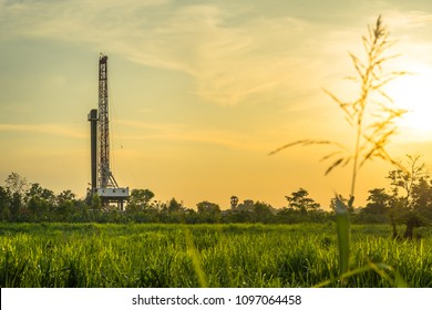 Oil field, Onshore drilling rig around with agriculture field. View from the another site of sugar crane field while the sunset time. 