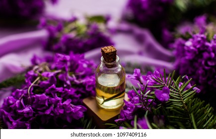  Oil from a Lavender flower