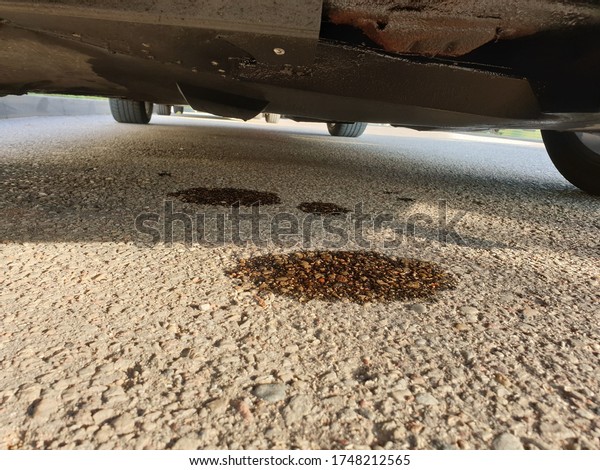 Oil is leaking from the\
car