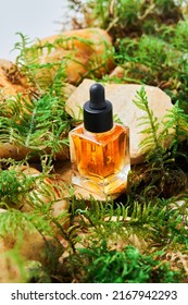 The Oil For Nail And Cuticle Care In Glass Bottle On Natural Moss And Stone Background. Beauty And Care Concept. 