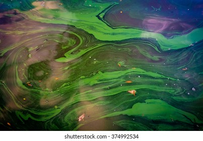 Oil on water