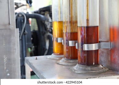 Oil Palm Biofuel Biodiesel In Tubes.