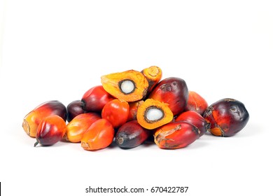 Oil Palm Fruit ripe whole products food 