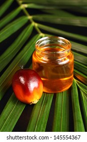 Oil Palm Fruits And Oil Bottle On A Leaves Background