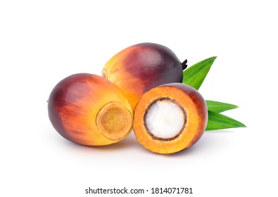 Oil Palm fruits and cut in half with green leaf isolated on white background.