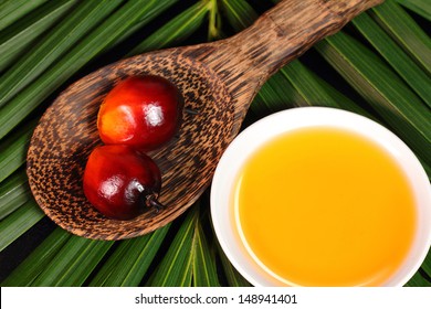 Oil Palm Fruits And A Plate Of Cooking Oil On Leaves Background