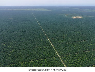 Oil Palm Plantation In Malaysia, View From Airplane. Malaysia Palm Oil Industry Produces About 90 Million Tones Of Lignocellulosic Biomass.