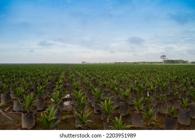 77,786 Planta De Milo Images, Stock Photos & Vectors | Shutterstock