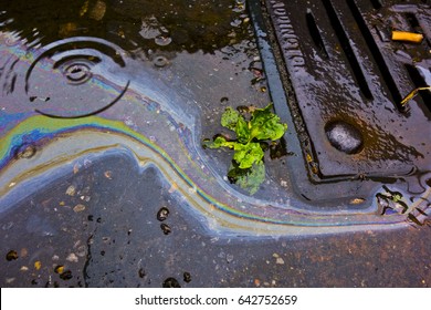 Oil Petrol Rainbow Leak Running Down A Drain