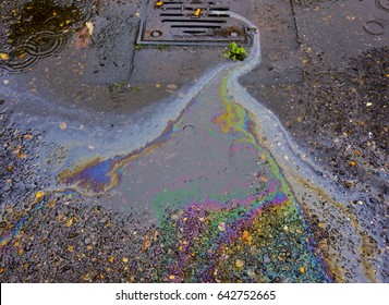 Oil Petrol Rainbow Leak Running Down A Drain