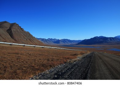 Oil Pipeline On The North Slope Of Alaska