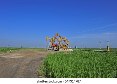 The oil pump 