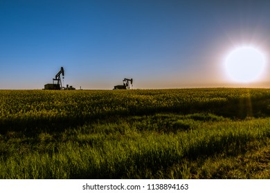 Oil Pumps In The Field With Sunrise In Alberta, Canada